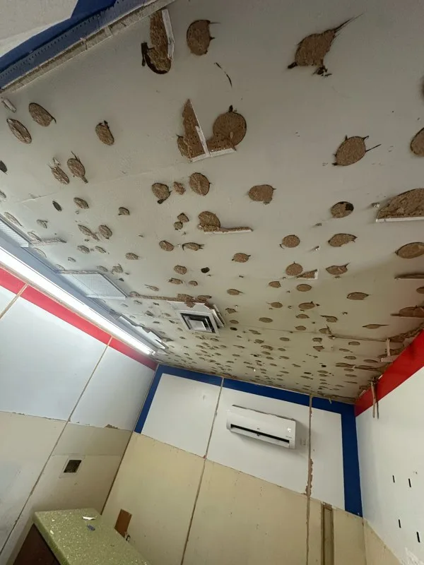 Ceiling demolition at the start of a Trust Auto dealership renovation by RDC Renovation in Mesa, AZ